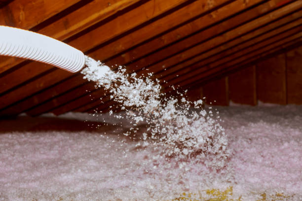 Best Insulation Maintenance and Repair in Gloverville, SC