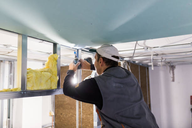 Best DIY Insulation Kits and Guidance in Gloverville, SC