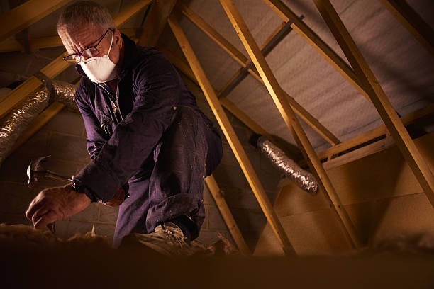 Best Insulation for Specific Applications in Gloverville, SC