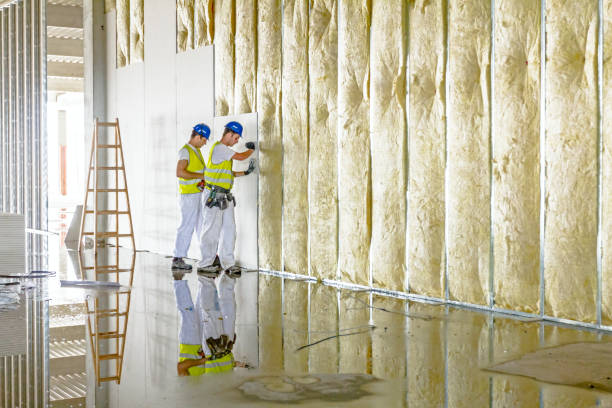 Trusted Gloverville, SC Insulation Contractor Experts
